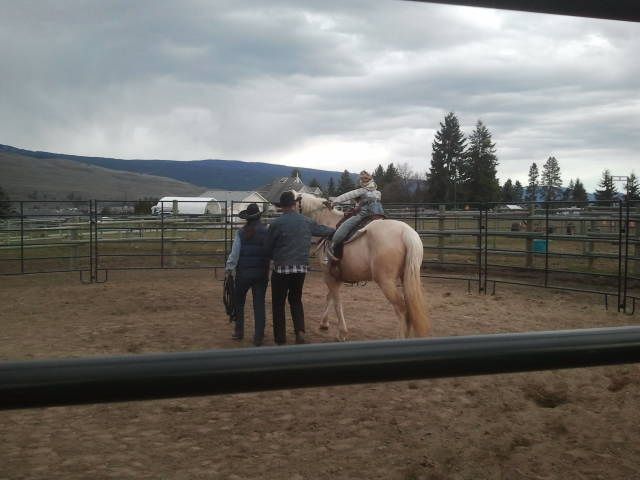 bc horse rescue