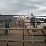 BC horse rescue