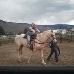 rescue horse rehabilitation