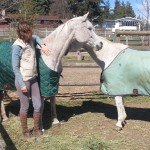SPCA seizes 11 neglected horses in Kamloops